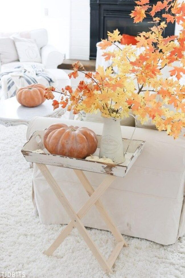 Autumn Soft Neutrals