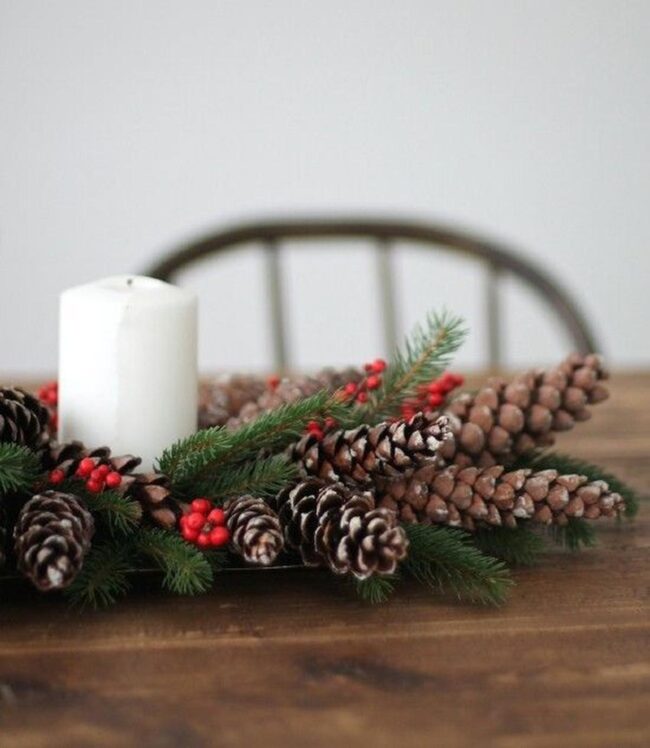 Pine Woodland Palette