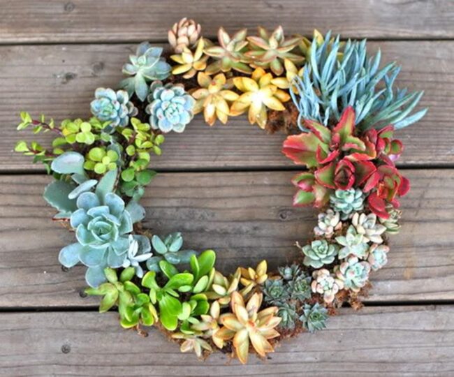 Succulent Wreath Symphony