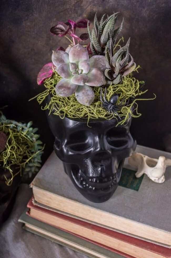 Skull Botanical Shock
