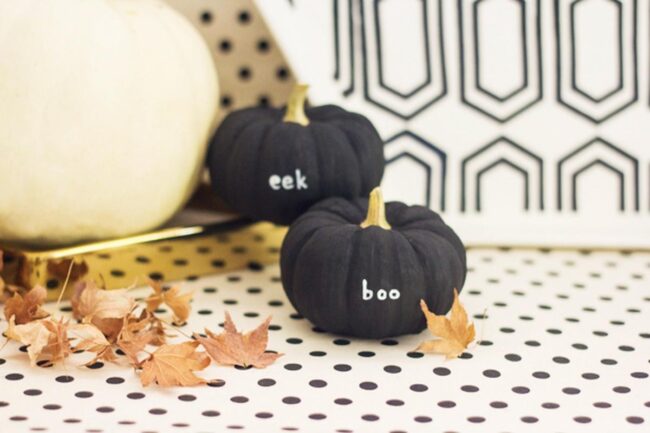 Witty Dark Pumpkin Decor