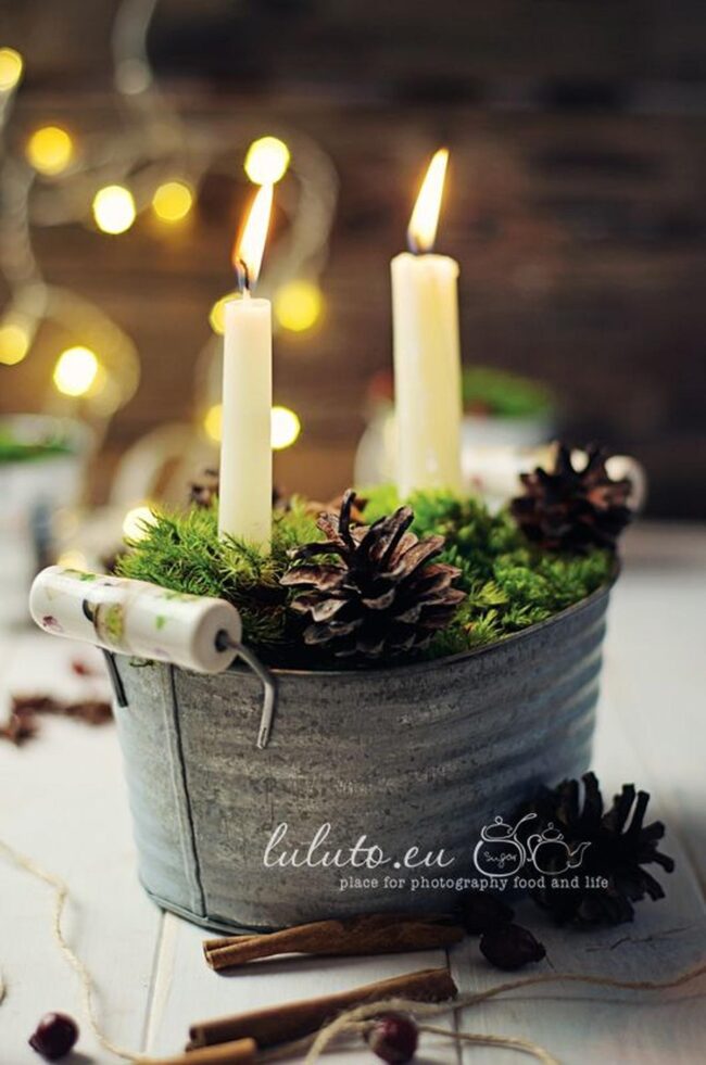 Moss Whispers Serenity