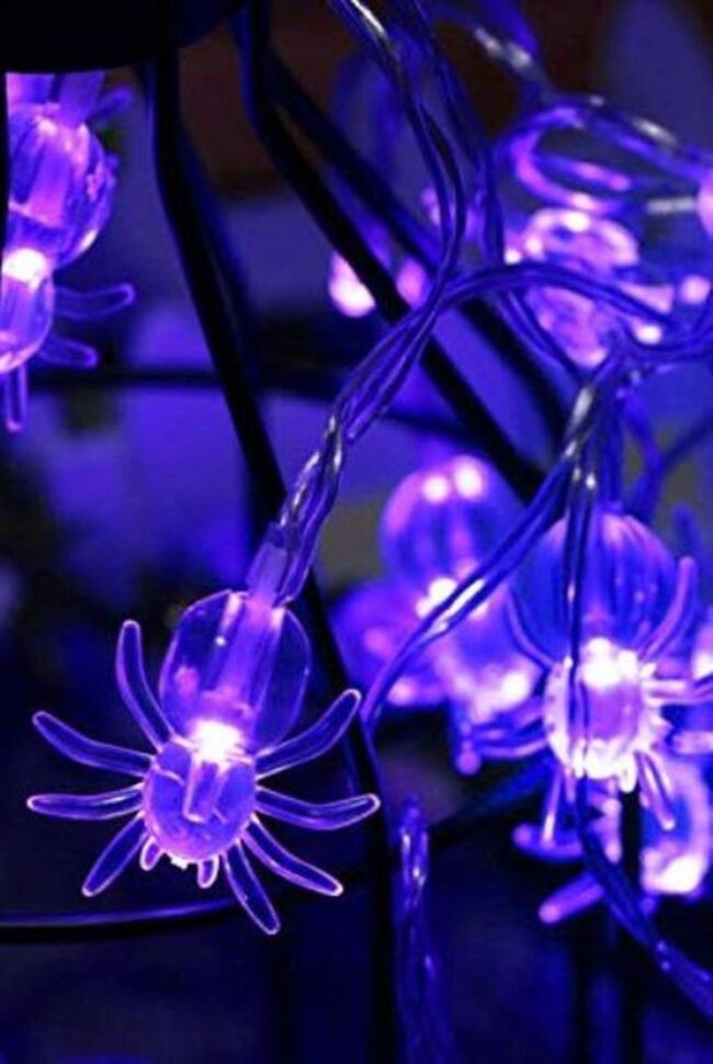 Purple Spider Shadows