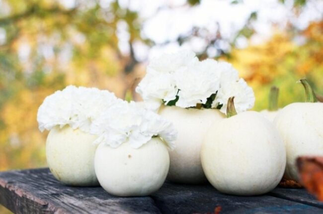 Ivory Pumpkins Autumn