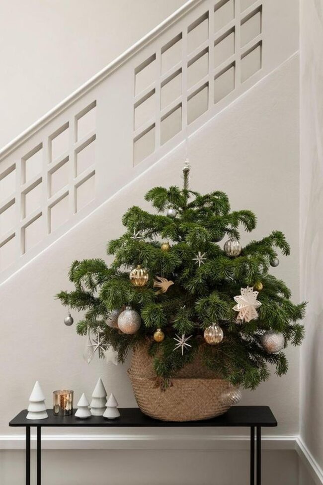 Silver Basket Symphony