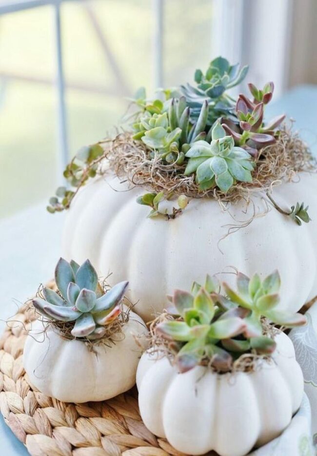 White Pumpkin Succulent Sculpture