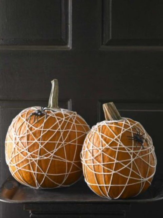 Spiderweb Orange Gourds