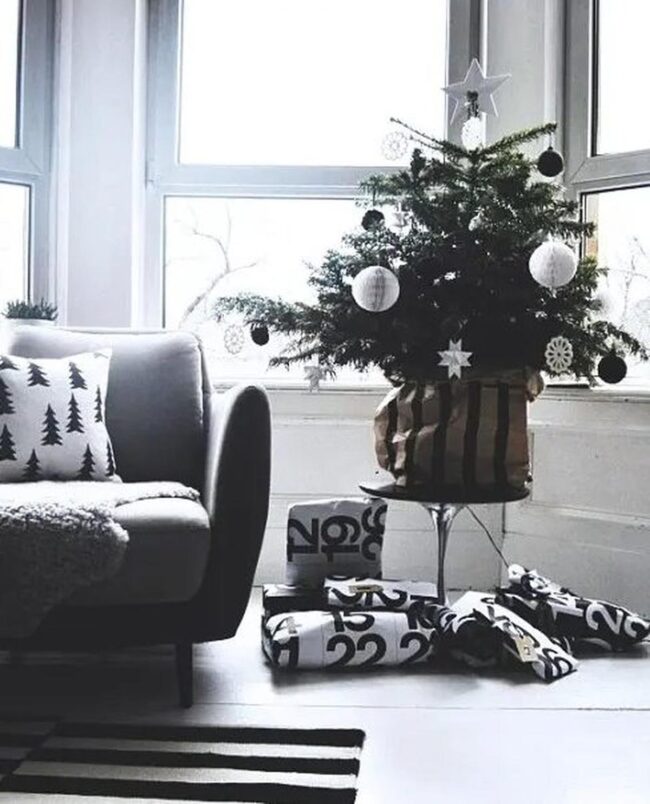 Monochrome Winter Grace