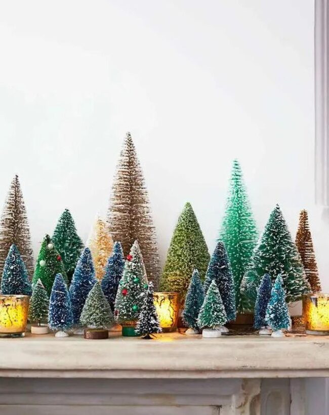 Sparkling Miniature Forests