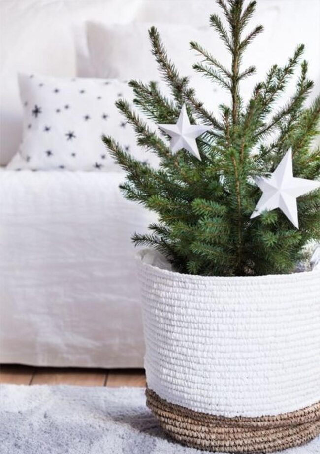 Soft Pine Natural Interior