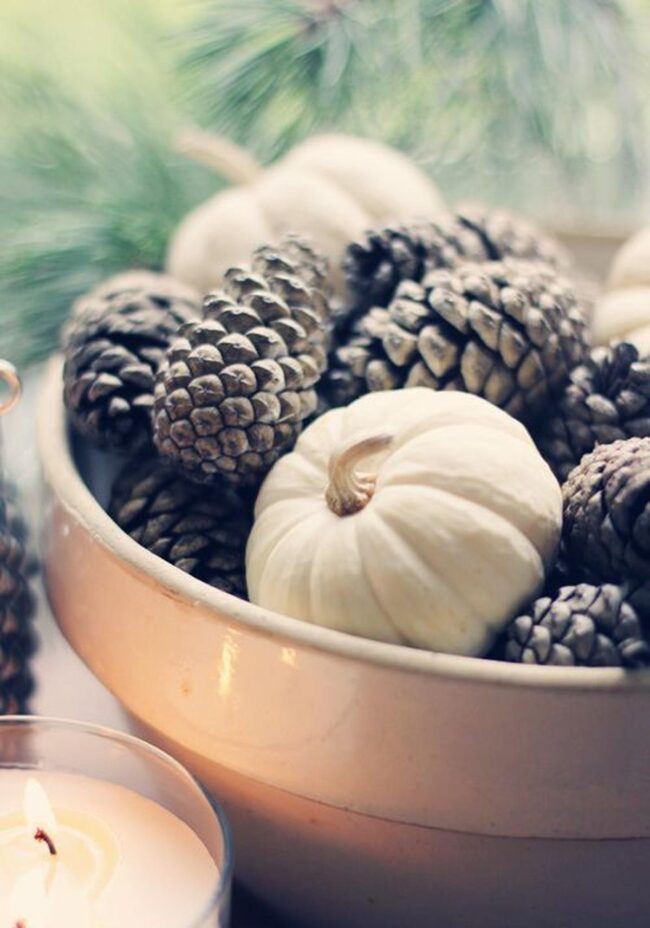 White Pumpkin Pinecone Landscape