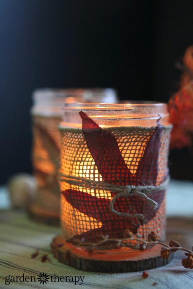 Crimson Candle Woodland