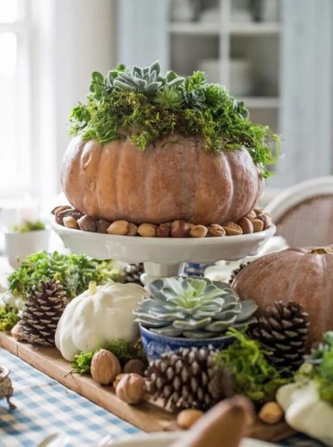 Autumn Pumpkin Succulent Centerpiece