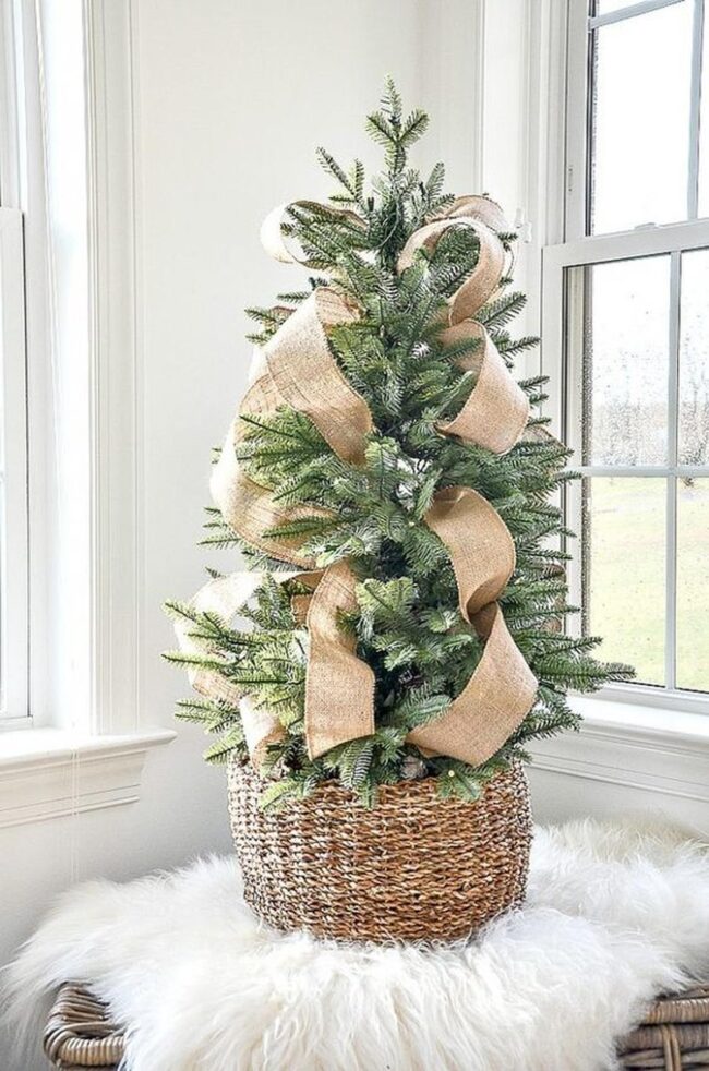 Natural Pine Basket Display