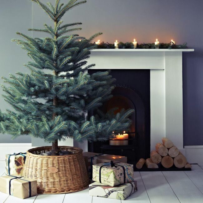 Pine Ribbons Gray