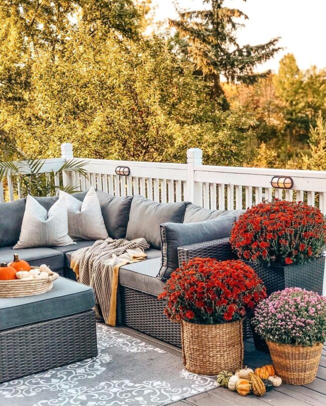 Soft Gray Wicker Paradise