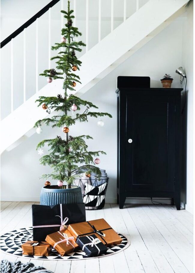 Copper Pastel Evergreen
