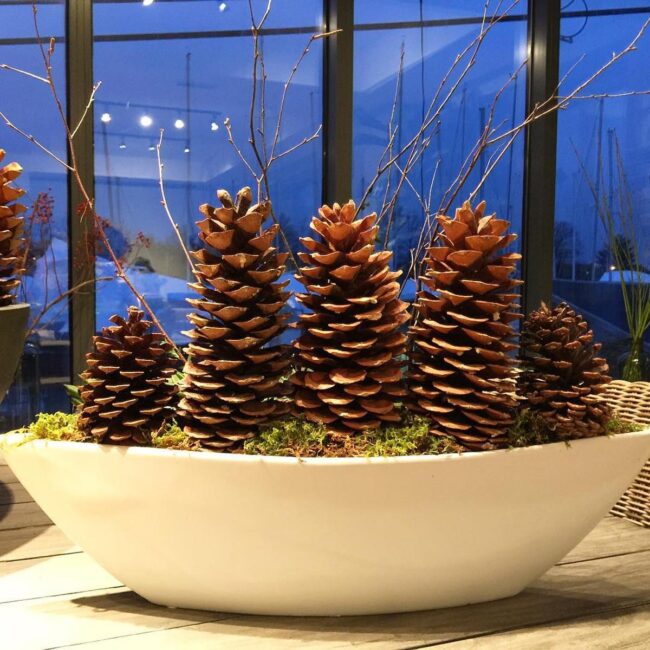 Nordic Forest Whispers Pinecones