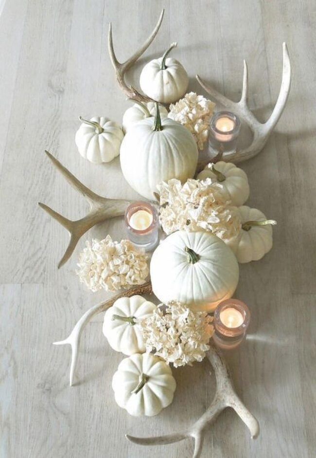 Woodland Pumpkin Stillness