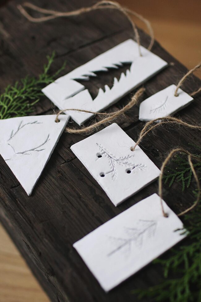 Forest Clay Whispers