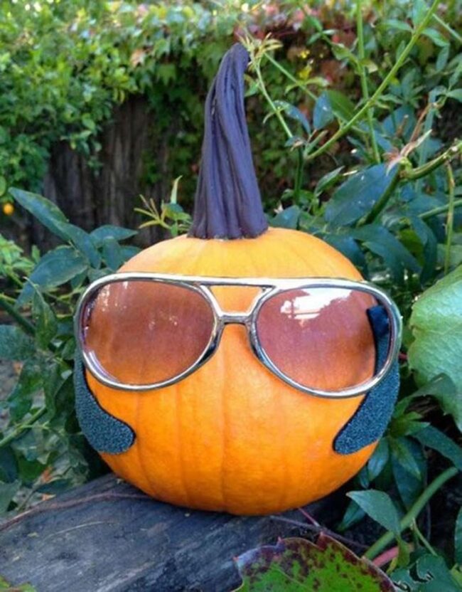 Quirky Sunglasses Pumpkins