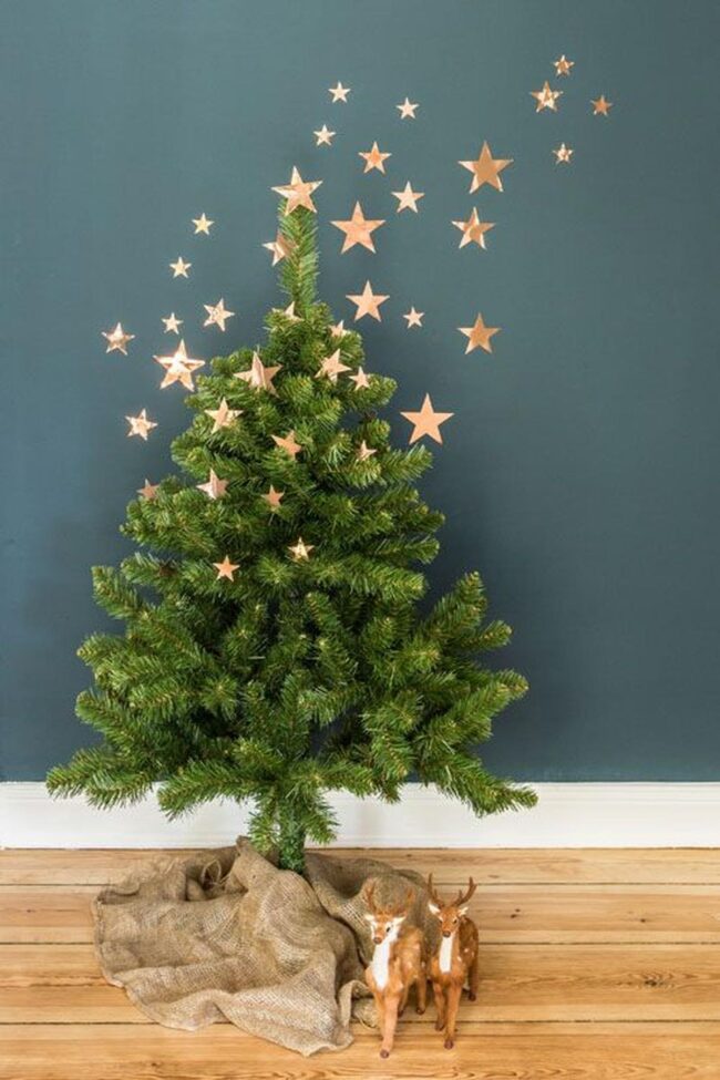 Golden Stars Pine