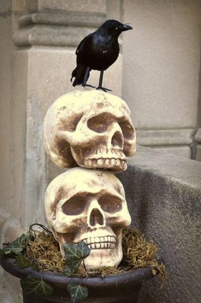 Black Botanical Skulls