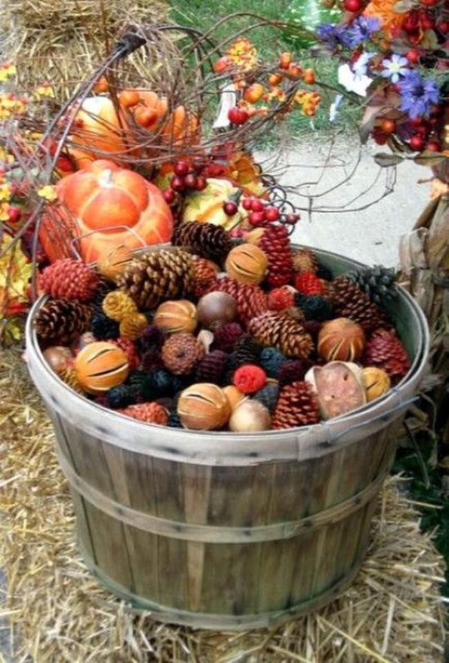 Crimson Woodland Harvest