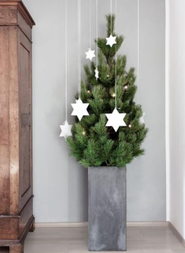 Green Pine Luminous Corner