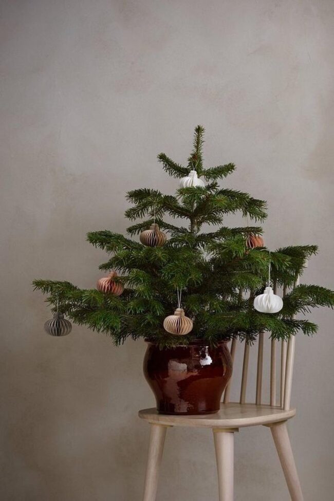 White Paper Whispers