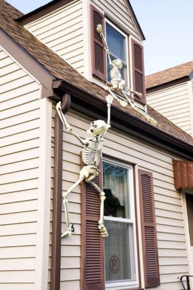 Skeletal Exterior Symphony