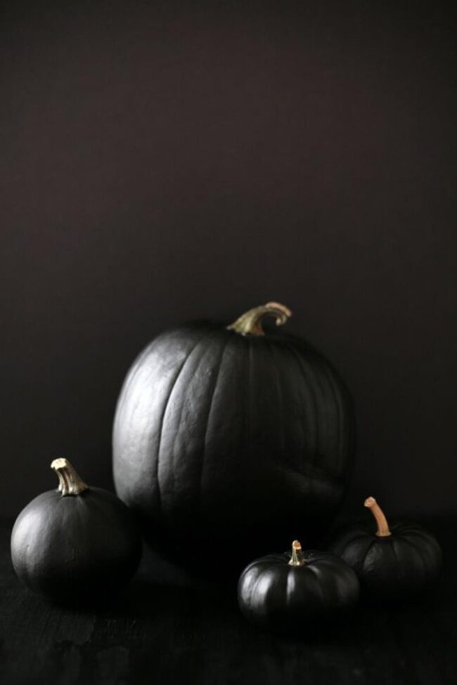 Midnight Noir Pumpkins