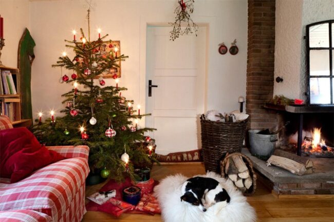 Winter Pine Sanctuary