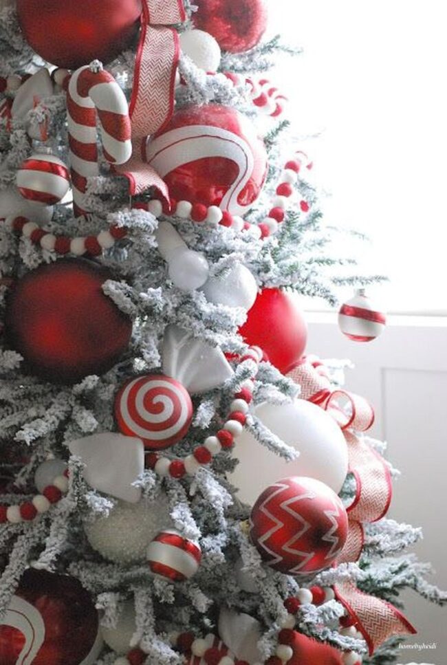 Crimson White Evergreen Cascade