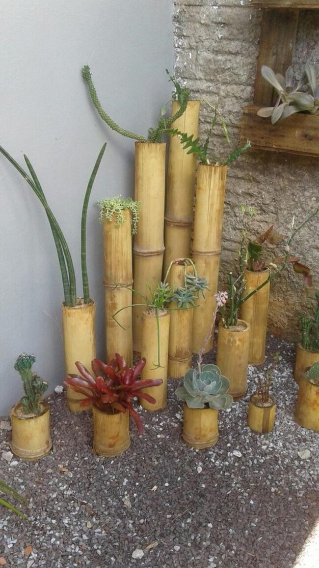 Bamboo Vertical Green