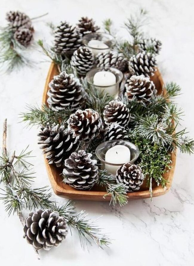 Frosty Pine Woodland