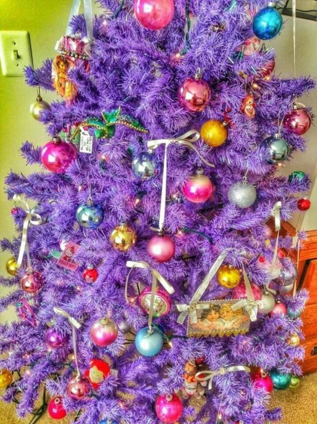 Purple Branch Festivity