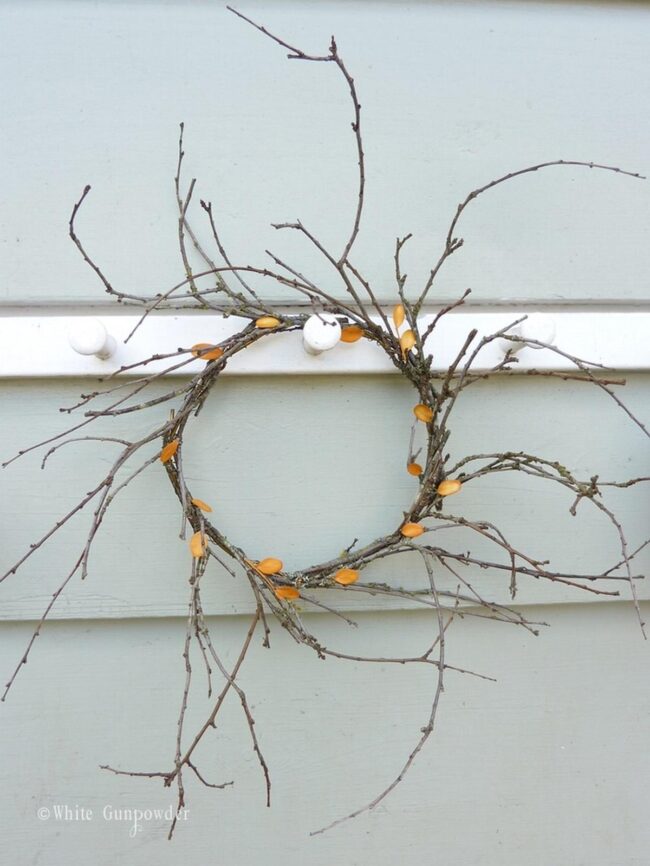 Orange Forest Whispers