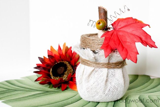 Orange Pumpkin Symphony