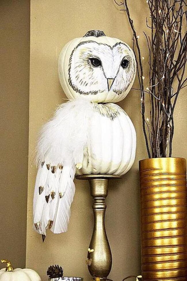 Woodland Owl Pumpkins