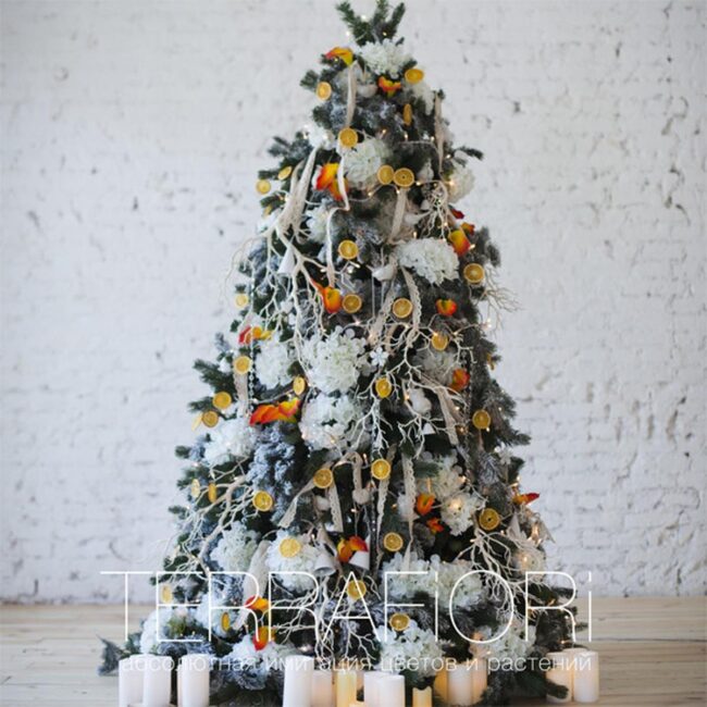 White Orange Woodland