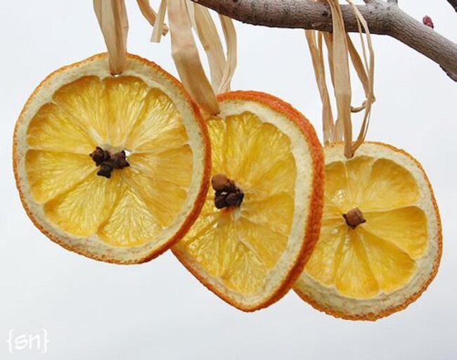 Citrus Hanging Ornaments