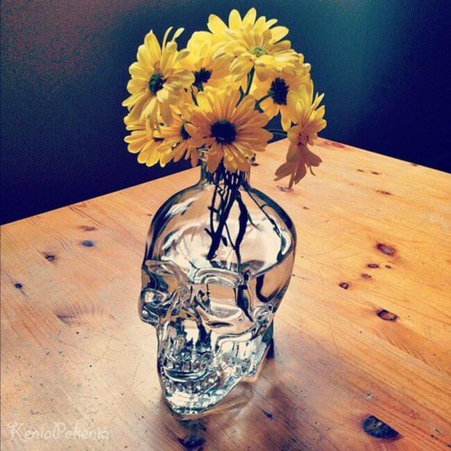 Dark Skull Glass