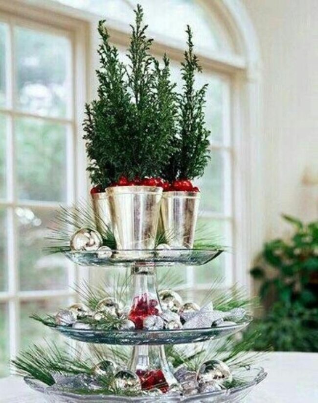 Winter Silver Berries