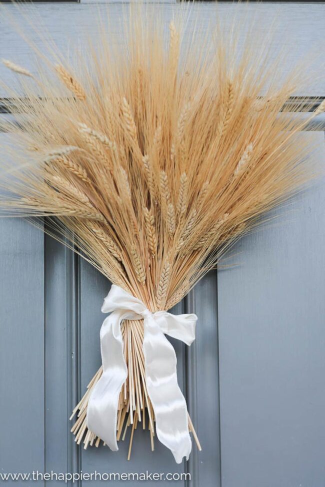 Golden Wheat Ribbons