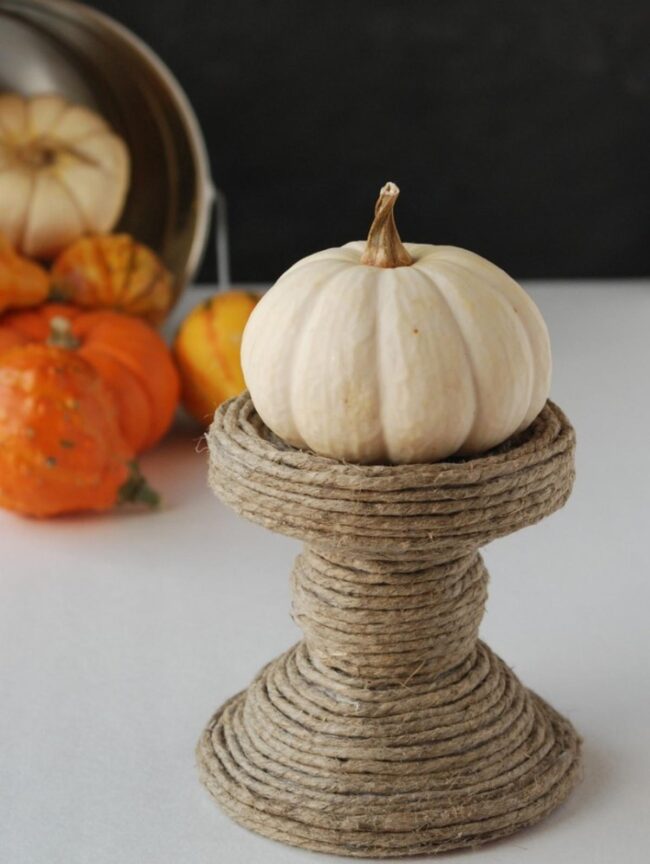 Orange Pumpkin Palette