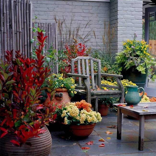 Green Brick Botanical Oasis