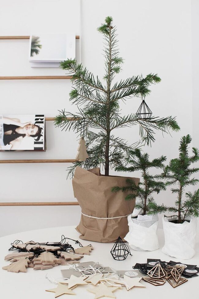Green Paper Woodland Shelves