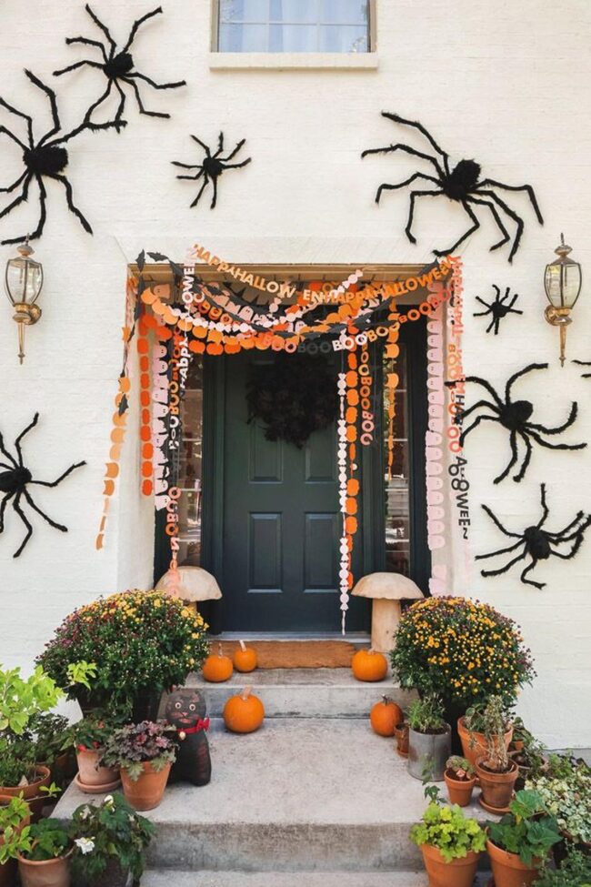 Spooky Spider Halloween