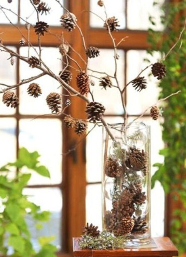 Forest Glass Branches